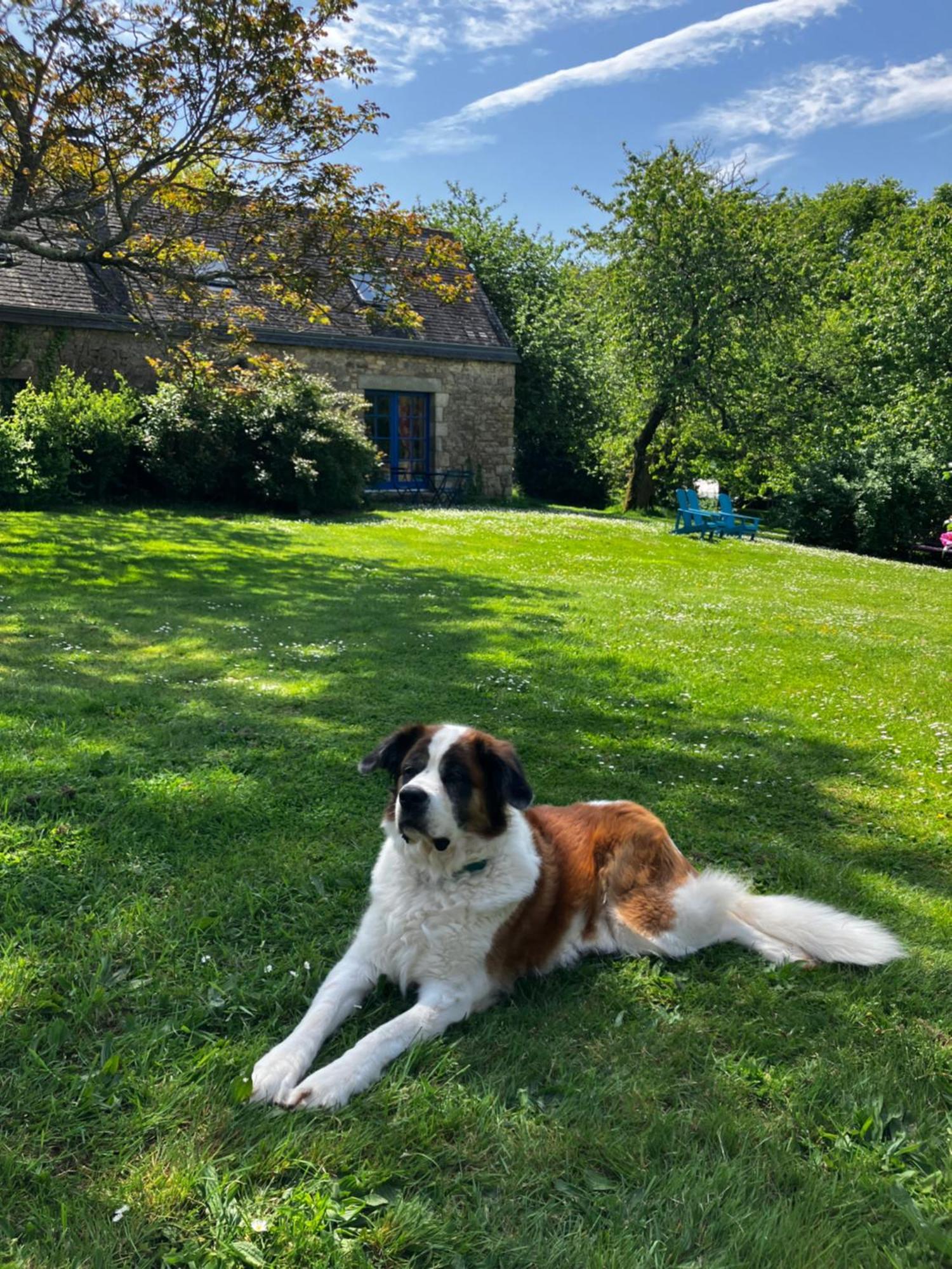 Ar Couette Bed & Breakfast Bono Exterior foto